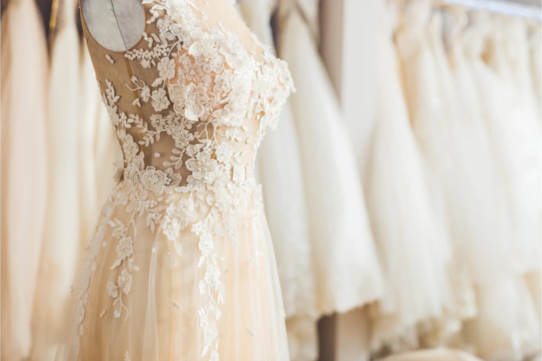 Lace_Wedding_Dress_1728x